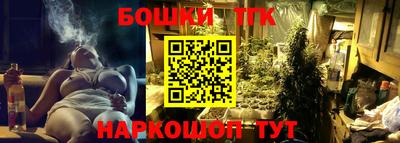 индика Новозыбков