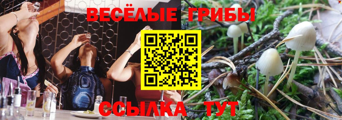 Псилоцибиновые грибы MAGIC MUSHROOMS Севастополь