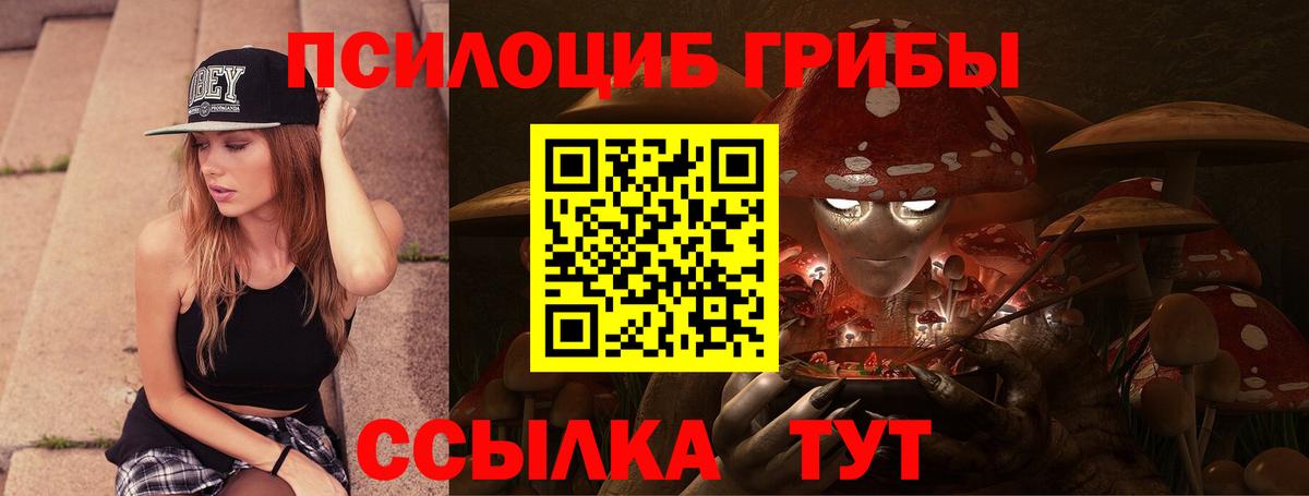 Псилоцибиновые грибы Psilocybine cubensis  Вход с VPN  Севастополь  Галлюциногенные грибы мицелий 